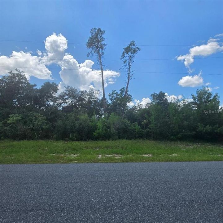 For Sale: $49,500 (0.25 acres)