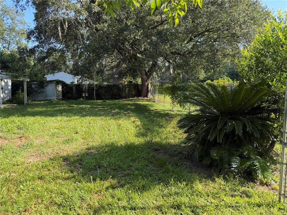 For Sale: $60,000 (0.20 acres)