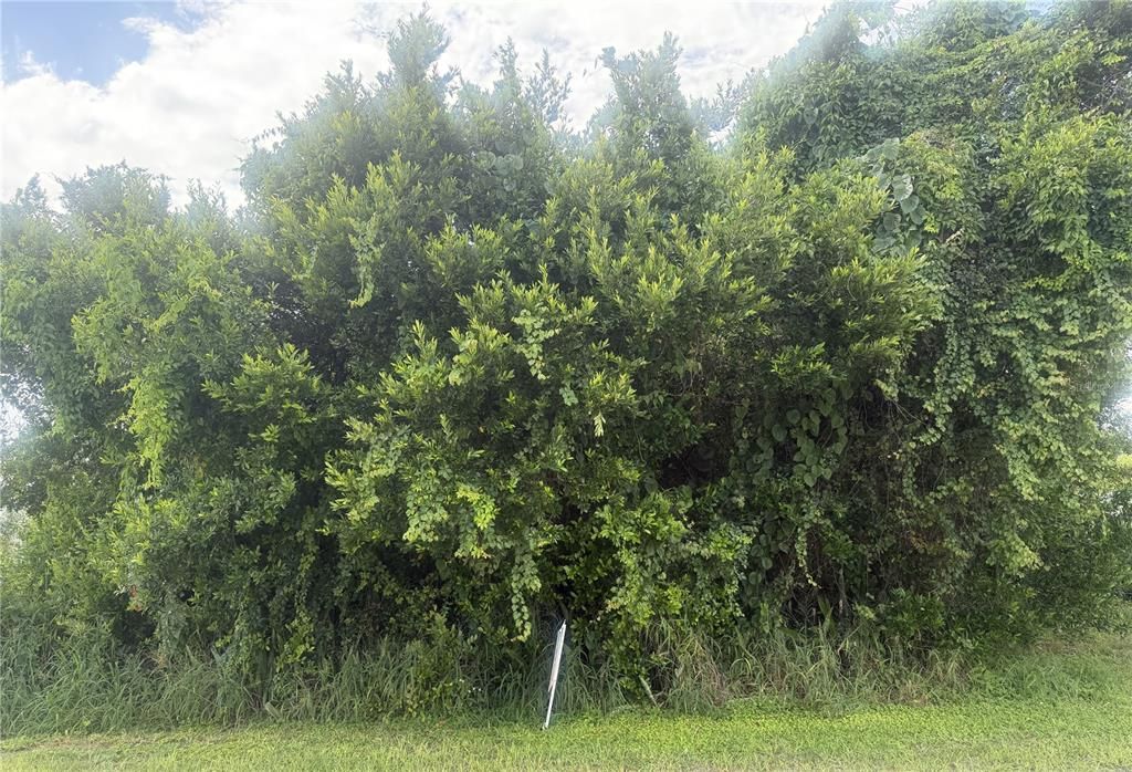 For Sale: $83,950 (1.56 acres)