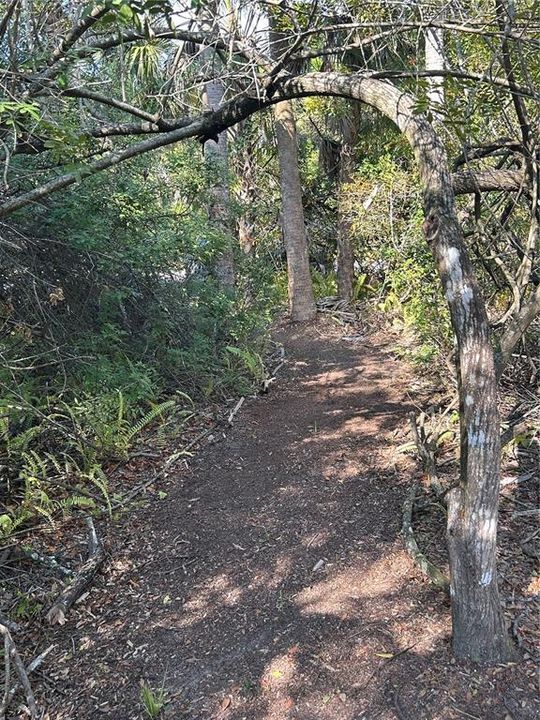 For Sale: $24,900 (0.18 acres)