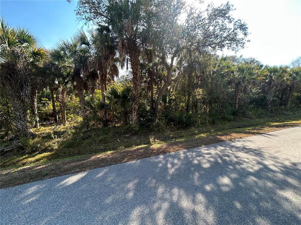 For Sale: $24,900 (0.18 acres)