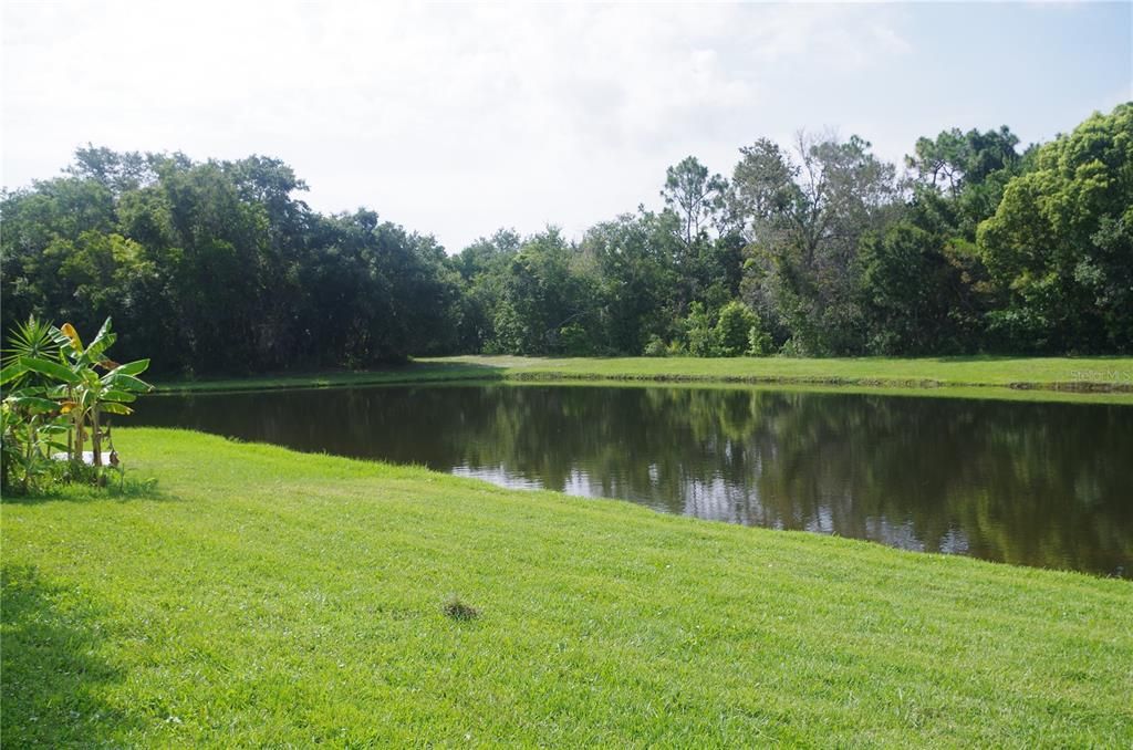 For Rent: $2,300 (3 beds, 2 baths, 1501 Square Feet)