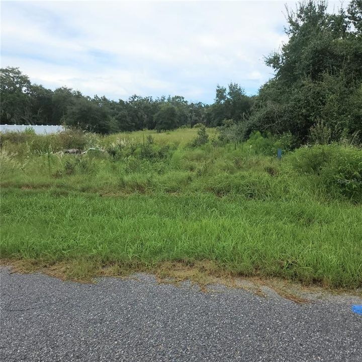 For Sale: $48,000 (0.32 acres)