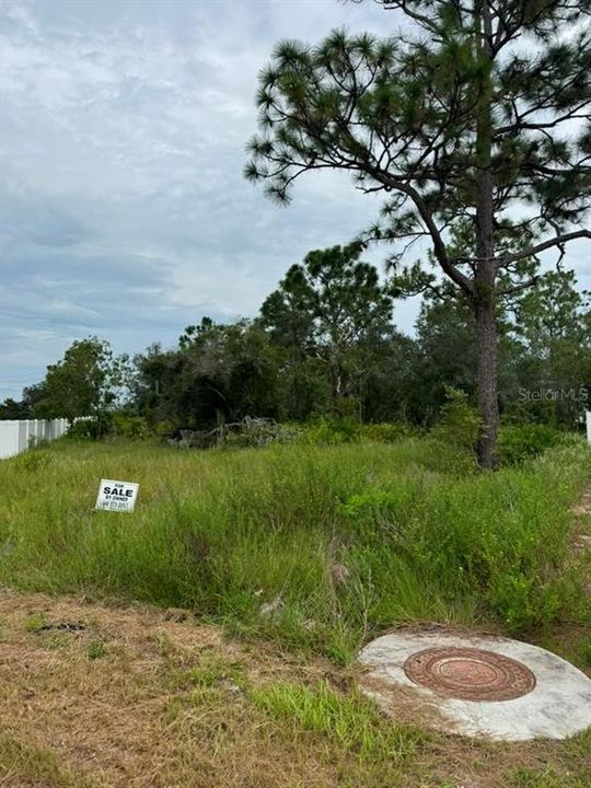 For Sale: $44,100 (0.37 acres)