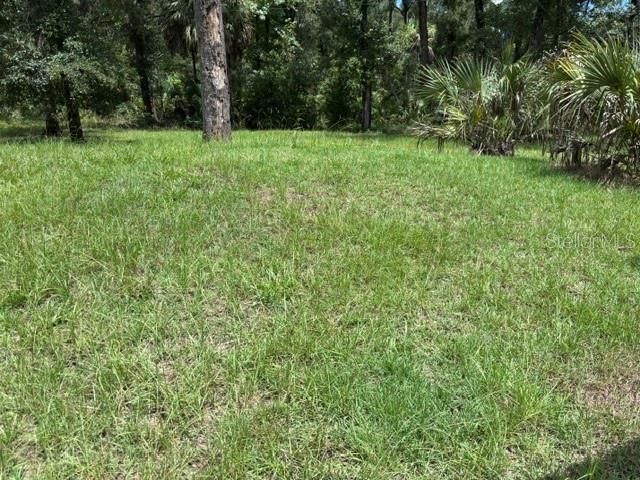 For Sale: $55,900 (1.15 acres)