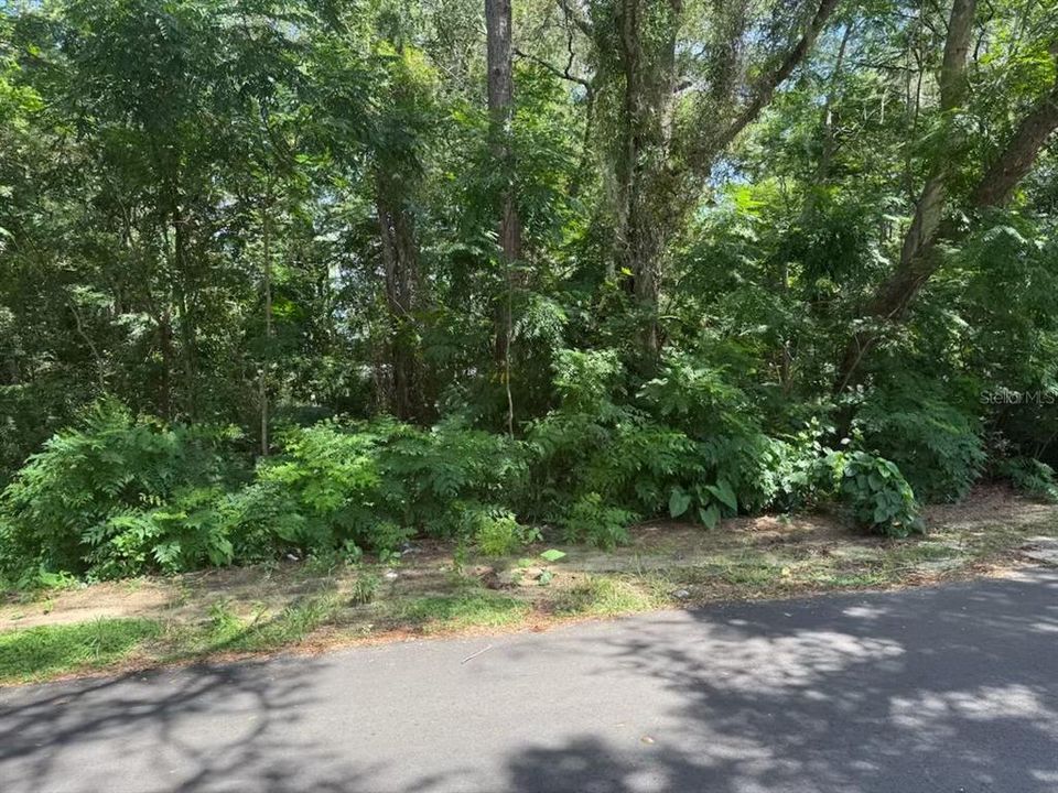 For Sale: $18,000 (0.36 acres)