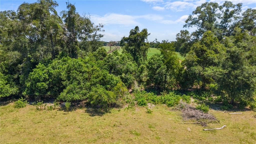 待售: $199,999 (10.00 acres)