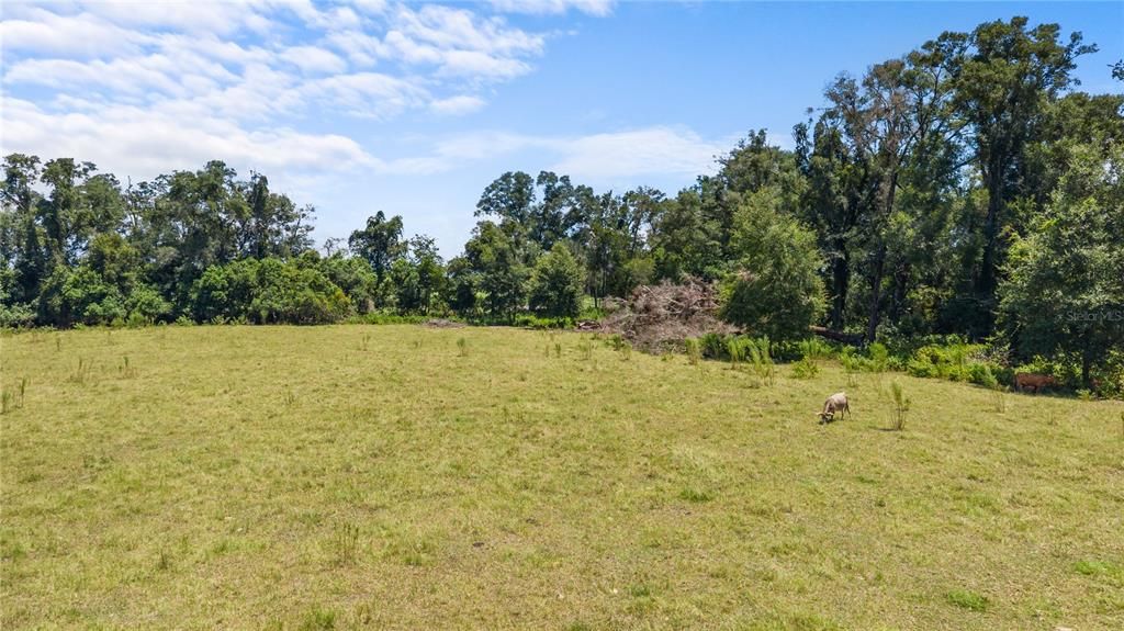 待售: $199,999 (10.00 acres)