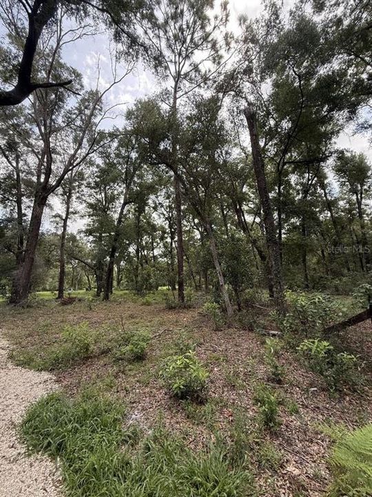 For Sale: $130,000 (4.75 acres)