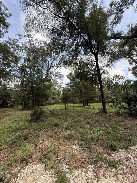 For Sale: $130,000 (4.75 acres)