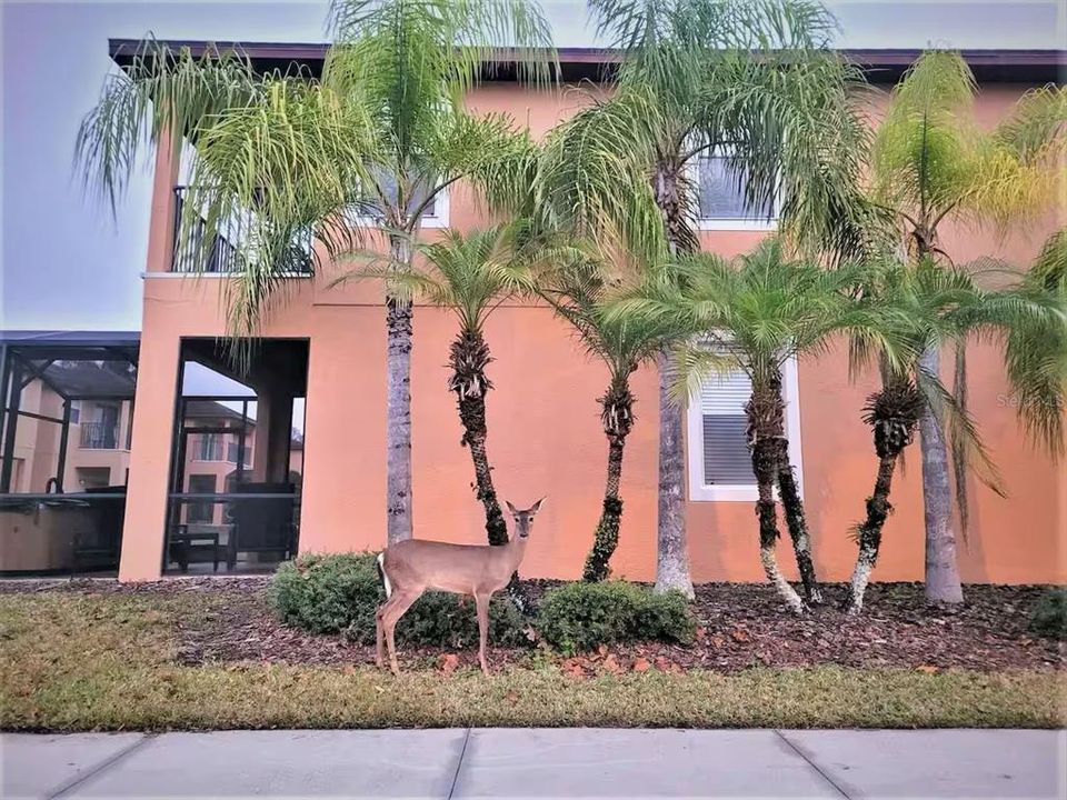 For Sale: $330,000 (4 beds, 3 baths, 1852 Square Feet)