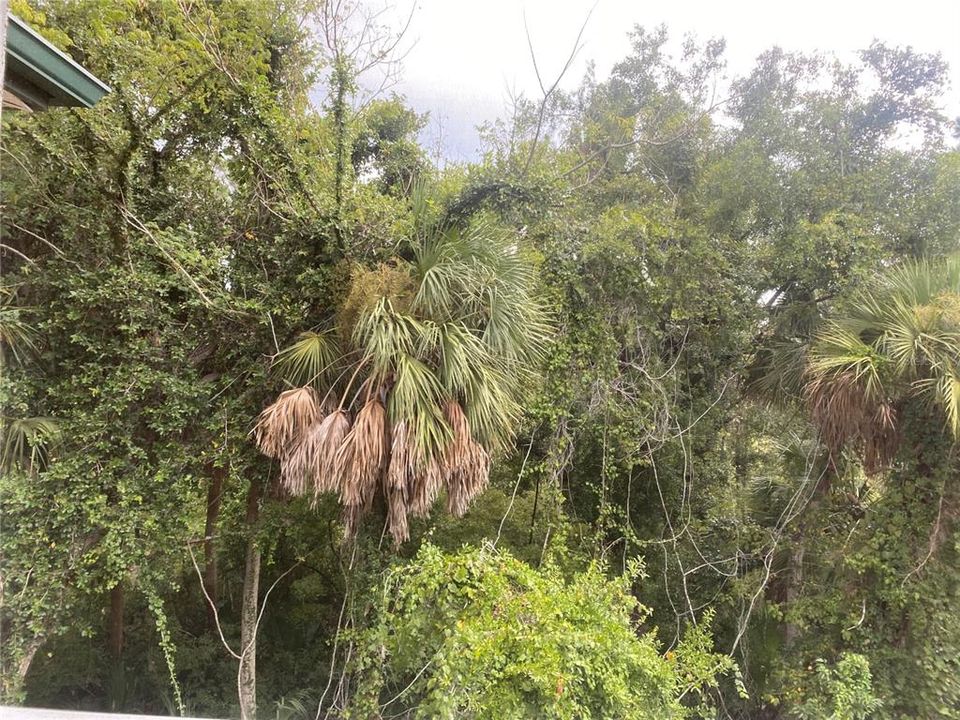 For Rent: $1,325 (1 beds, 1 baths, 780 Square Feet)
