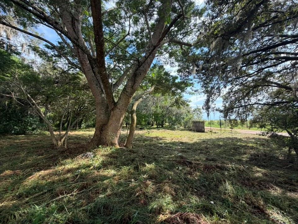 На продажу: $29,900 (1.27 acres)