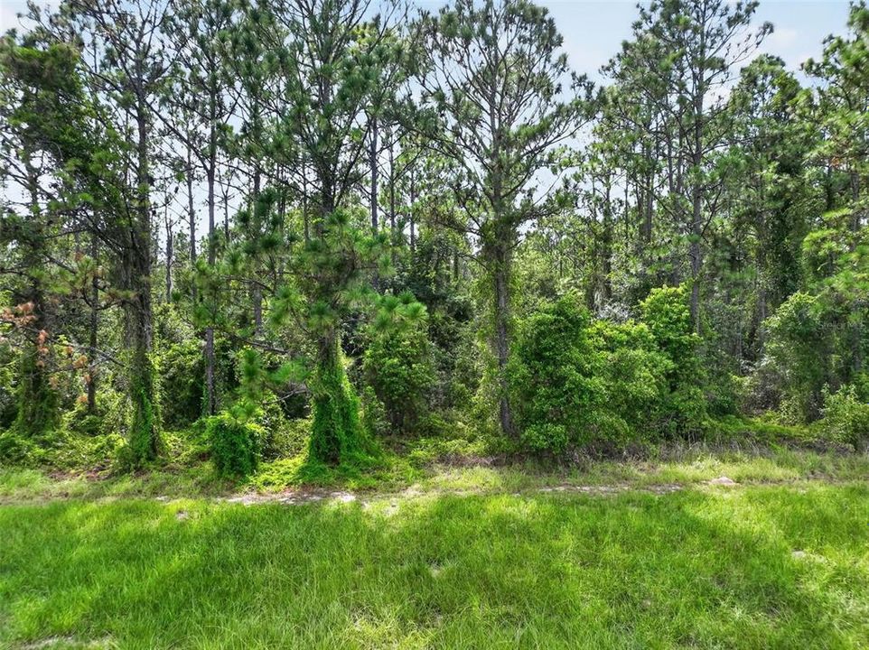 For Sale: $800,000 (12.33 acres)
