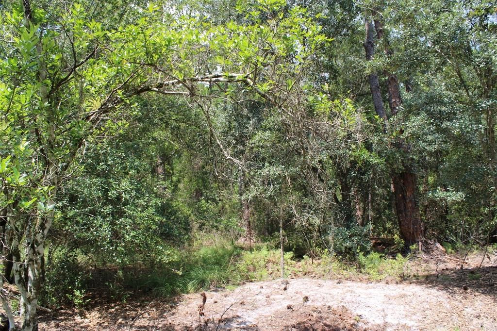 На продажу: $40,000 (1.00 acres)