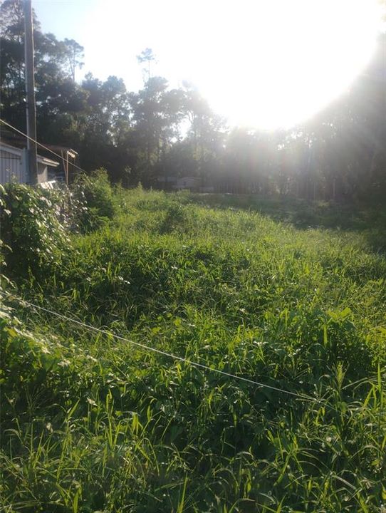 待售: $45,999 (0.32 acres)