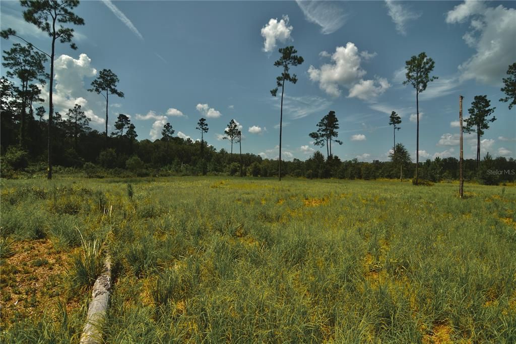 For Sale: $229,000 (20.78 acres)
