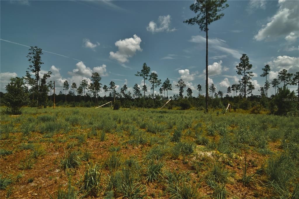 For Sale: $229,000 (20.78 acres)
