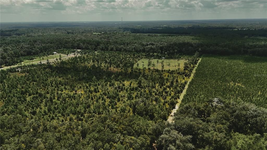 For Sale: $229,000 (20.78 acres)