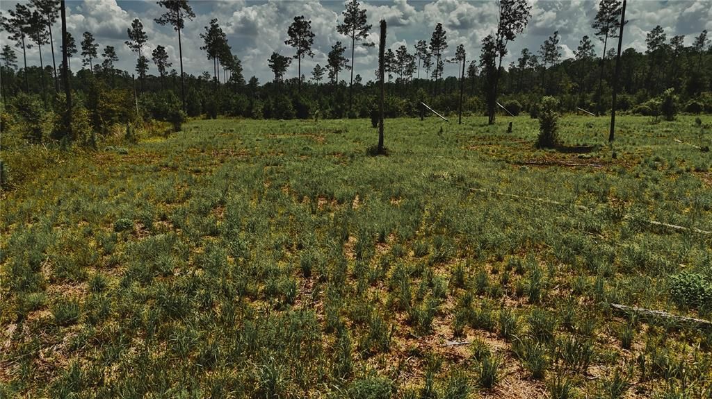 For Sale: $229,000 (20.78 acres)