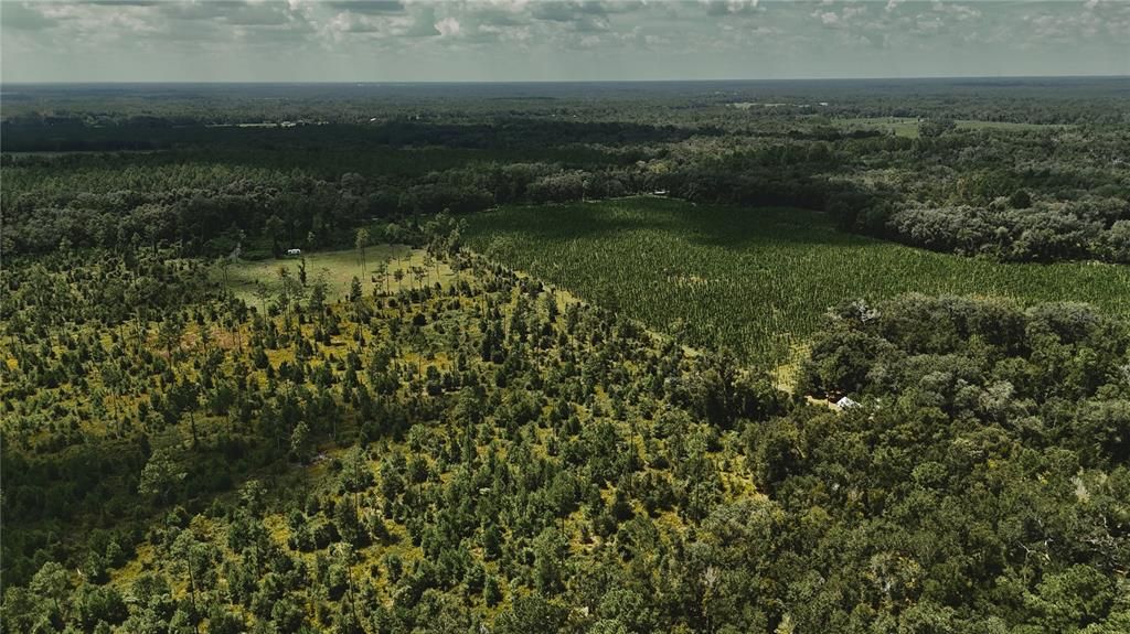 For Sale: $229,000 (20.78 acres)