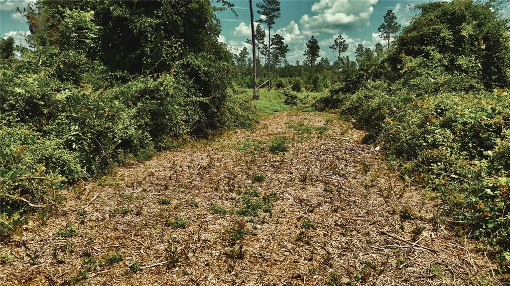 For Sale: $229,000 (20.78 acres)