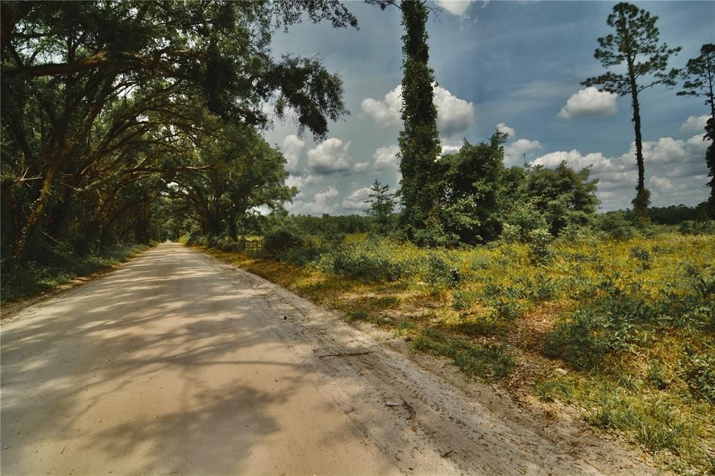 For Sale: $229,000 (20.78 acres)