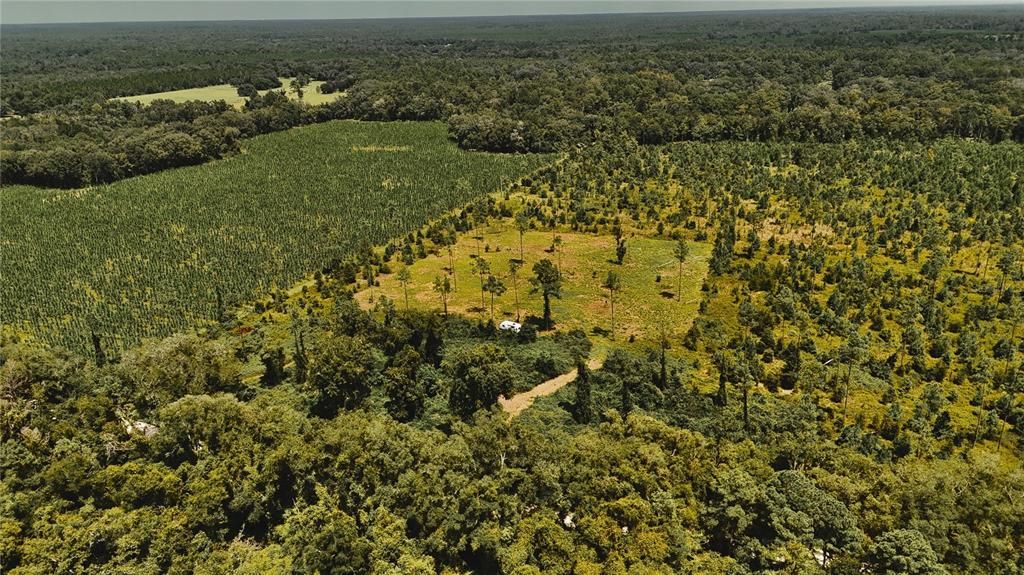 For Sale: $229,000 (20.78 acres)