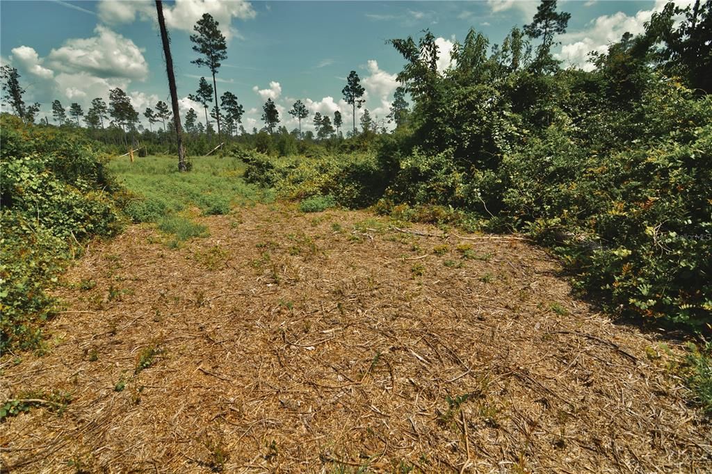 For Sale: $229,000 (20.78 acres)