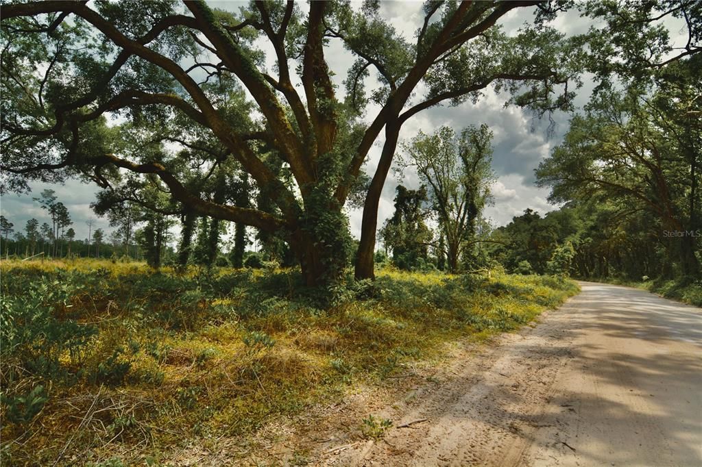 For Sale: $229,000 (20.78 acres)