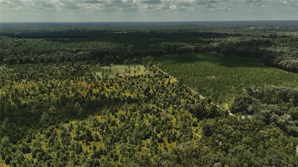 For Sale: $229,000 (20.78 acres)