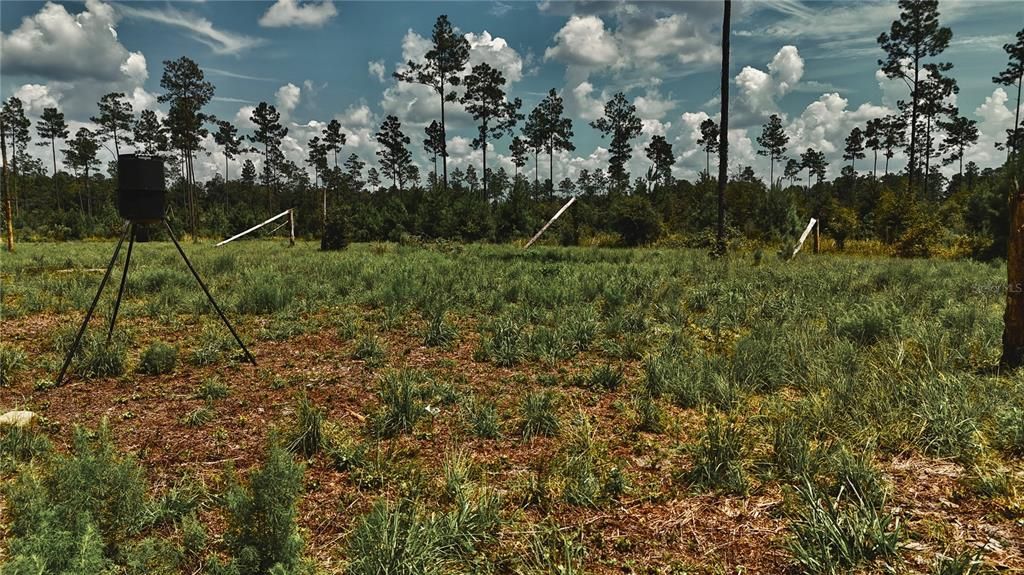 For Sale: $229,000 (20.78 acres)