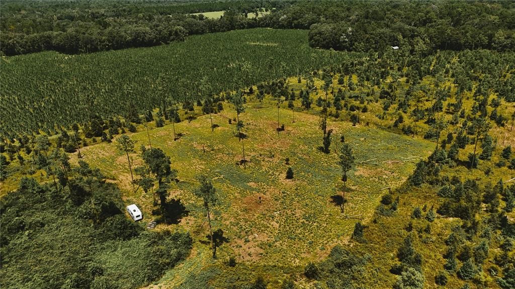 For Sale: $229,000 (20.78 acres)