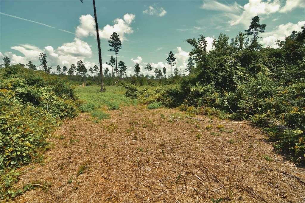 For Sale: $229,000 (20.78 acres)
