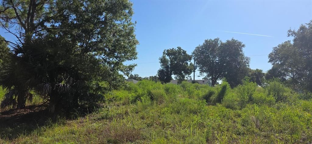 For Sale: $69,900 (0.46 acres)