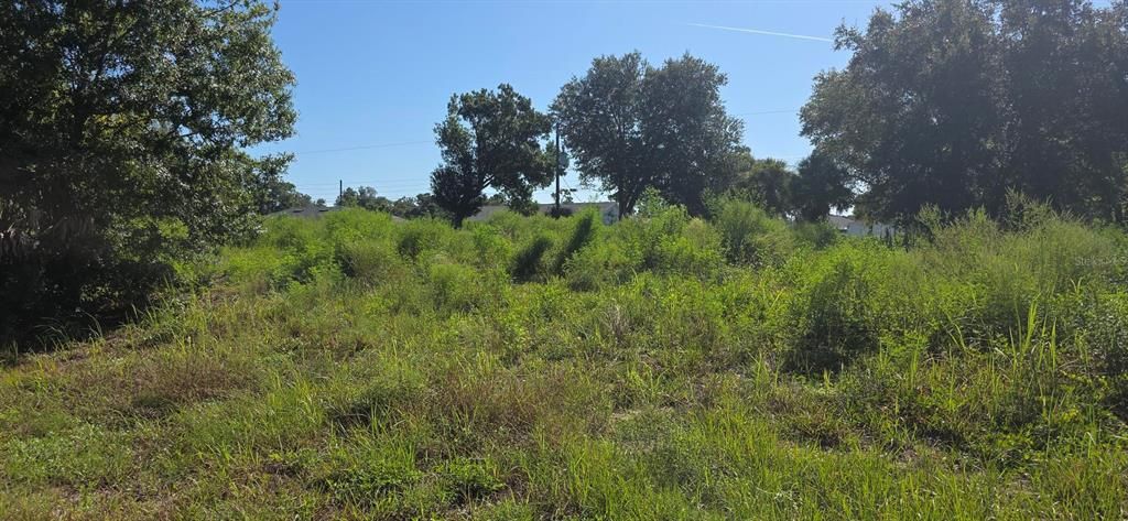 For Sale: $69,900 (0.46 acres)