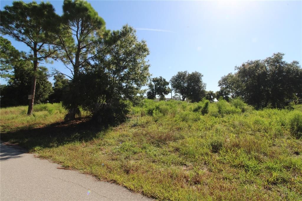 For Sale: $69,900 (0.46 acres)