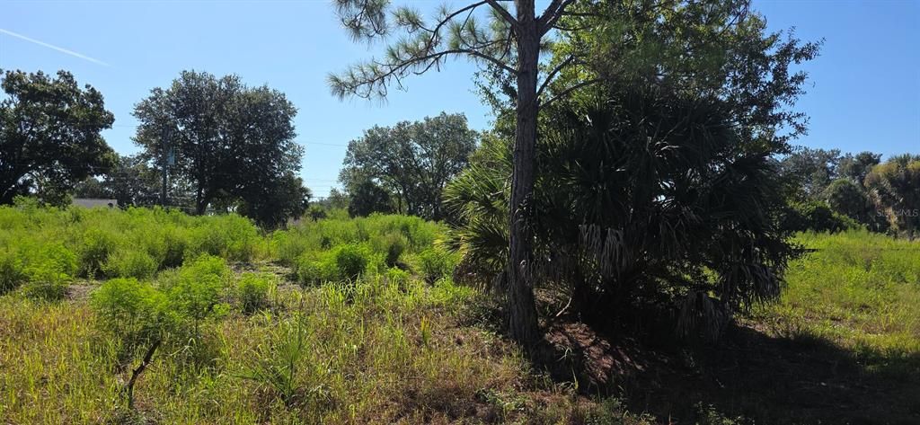 For Sale: $69,900 (0.46 acres)