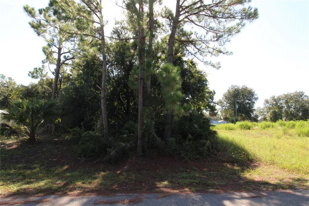 For Sale: $24,900 (0.23 acres)
