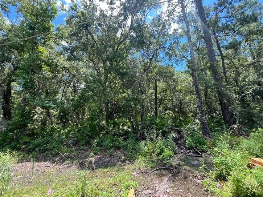 For Sale: $62,400 (0.57 acres)