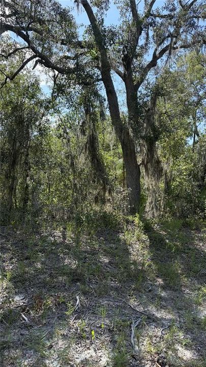 合同活跃: $75,000 (2.73 acres)