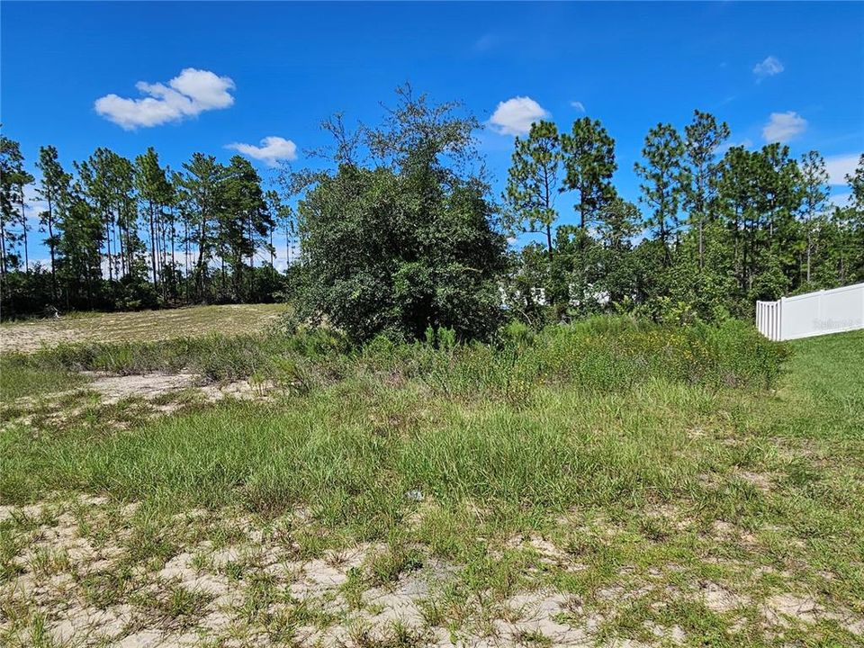 For Sale: $37,000 (0.23 acres)