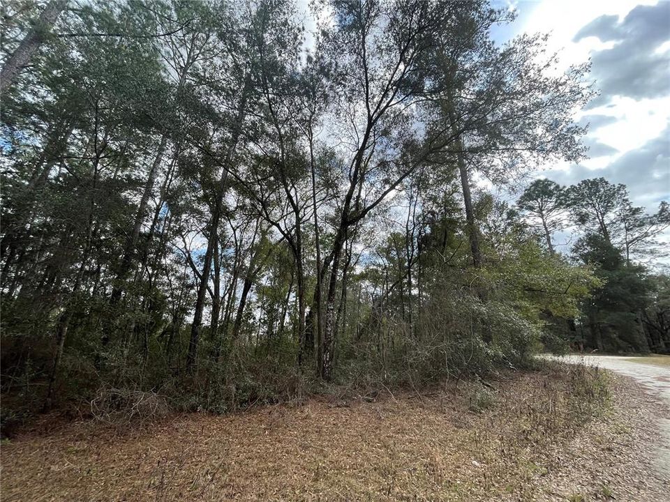 待售: $41,777 (0.25 acres)