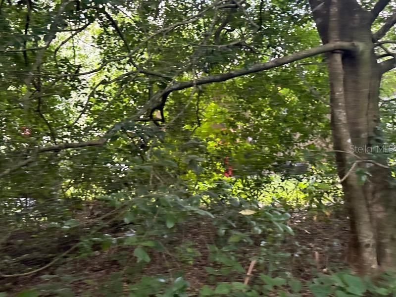 На продажу: $30,000 (0.24 acres)
