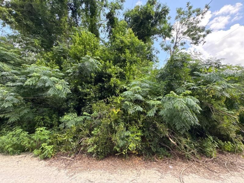 На продажу: $30,000 (0.24 acres)