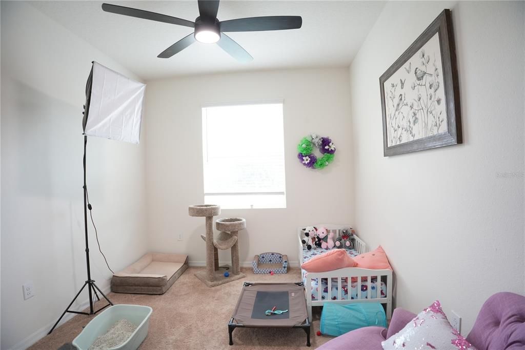 For Sale: $415,000 (3 beds, 2 baths, 1706 Square Feet)