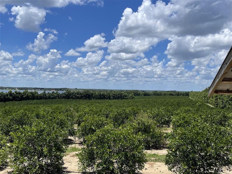 На продажу: $5,850,000 (67.50 acres)