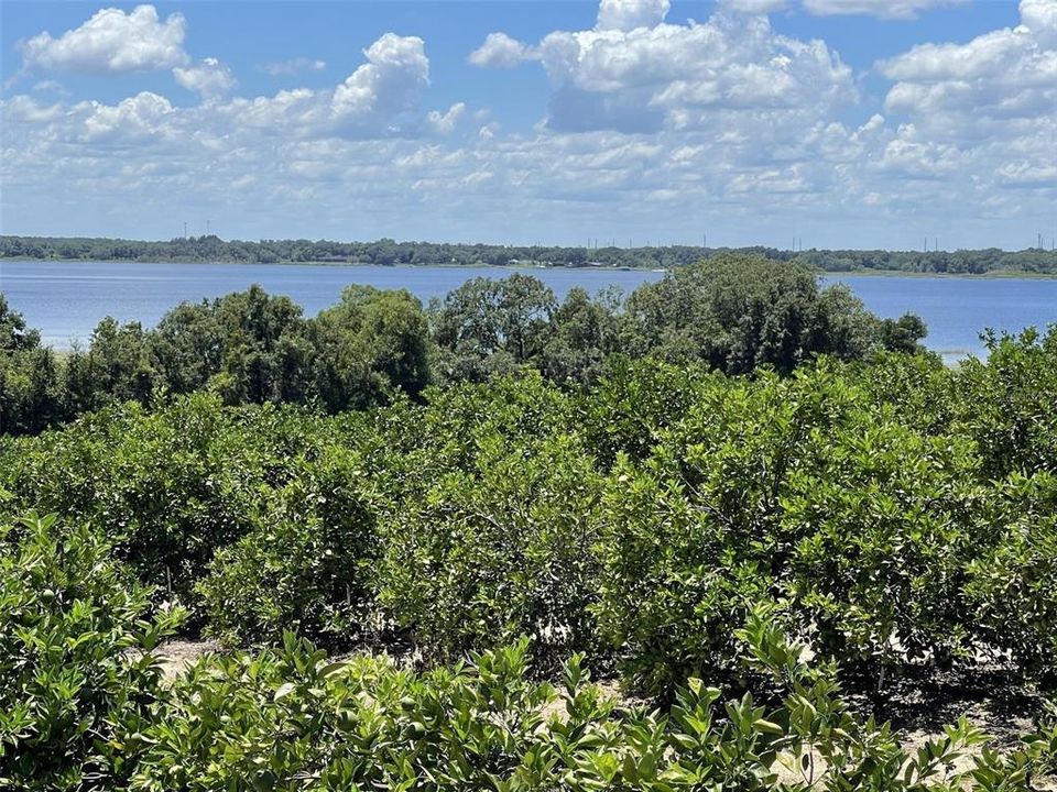 На продажу: $5,850,000 (67.50 acres)