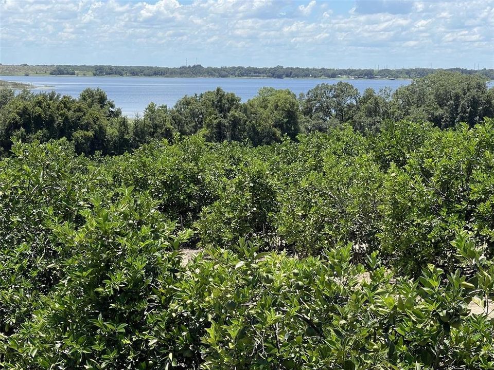 На продажу: $5,850,000 (67.50 acres)