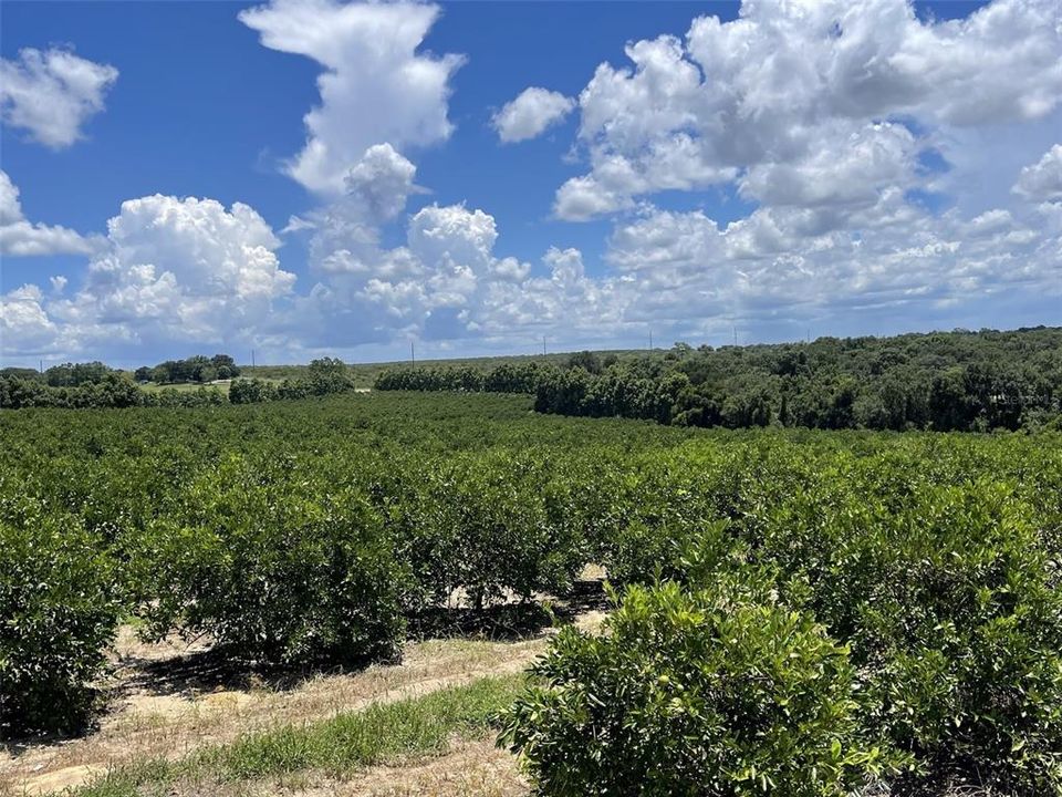 На продажу: $5,850,000 (67.50 acres)